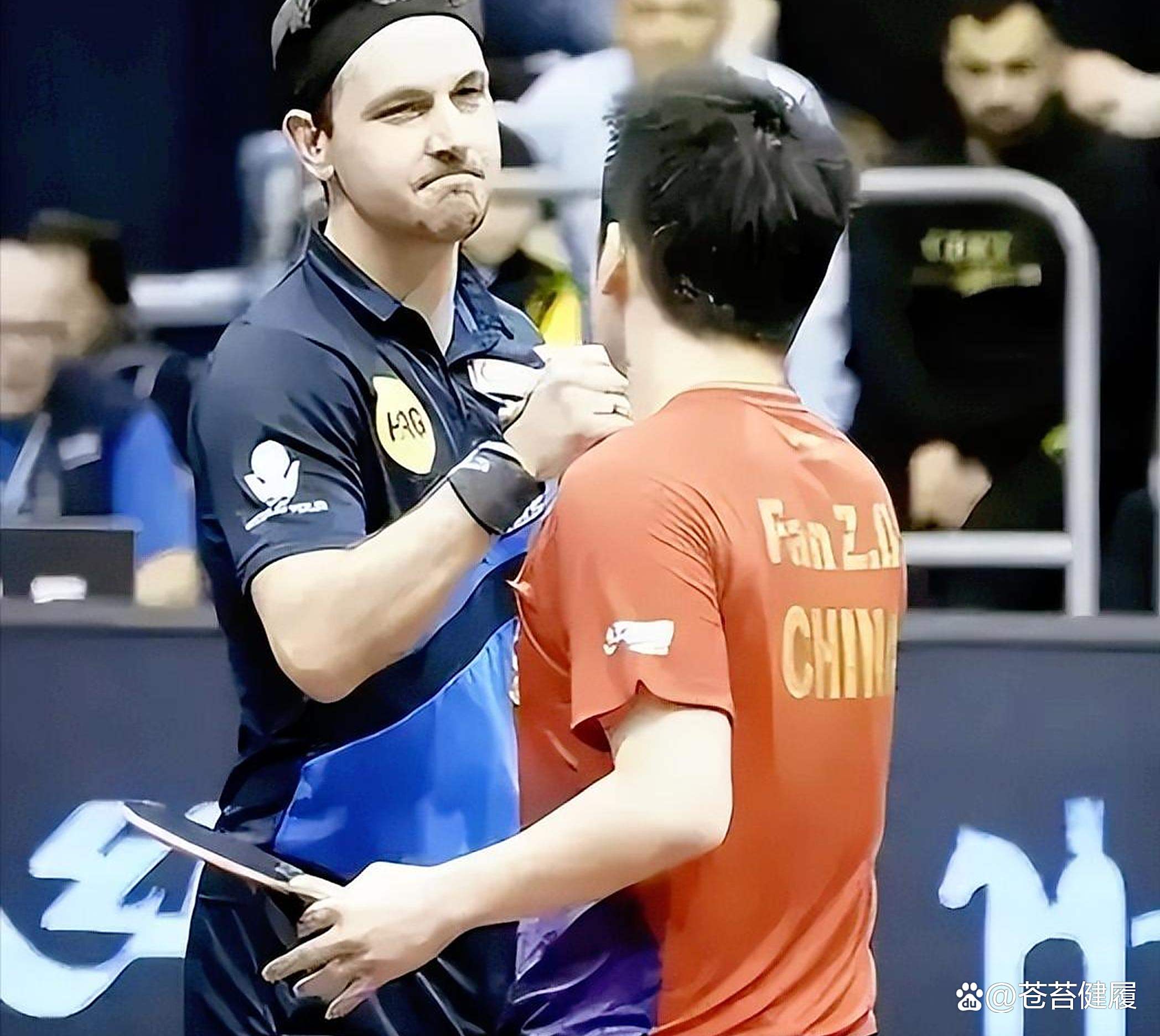 韩国乒乓球队绝地反击日本乒乓球队，波尔送出助攻的简单介绍