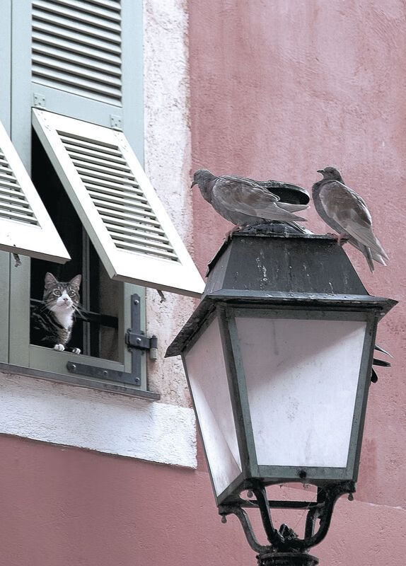 铁蹄与星火，步行者斩落独行侠之夜，布伦森如何淬炼为关键先生？