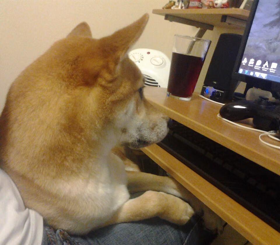 华体会hth-当德甲豪门遭遇非洲雄狮，一场友谊赛，为何被苏亚雷斯一口抢了戏？